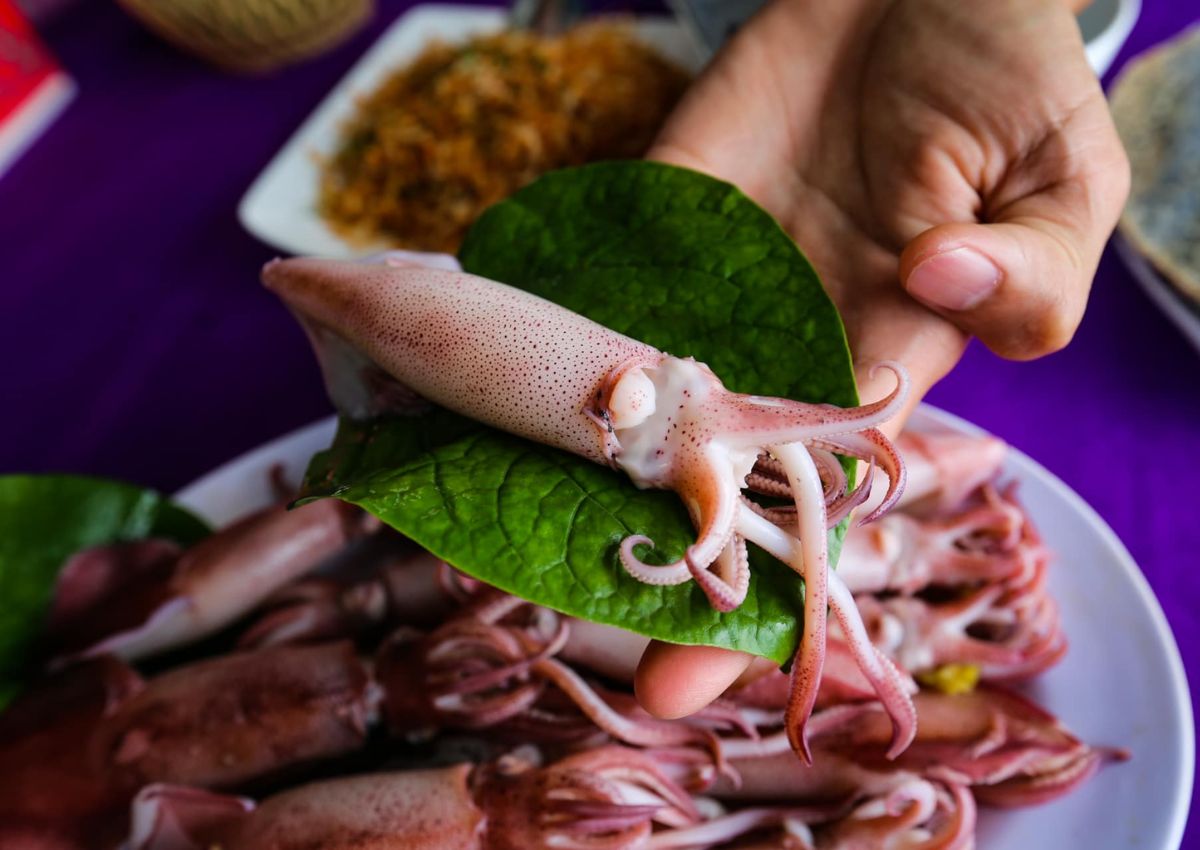 Hải sản Hà Tĩnh Mực nhảy Vũng Áng Hà Tĩnh