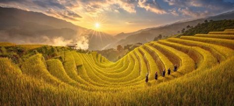 Vietnam visa on arrival for Indian citizens: The ultimate guide