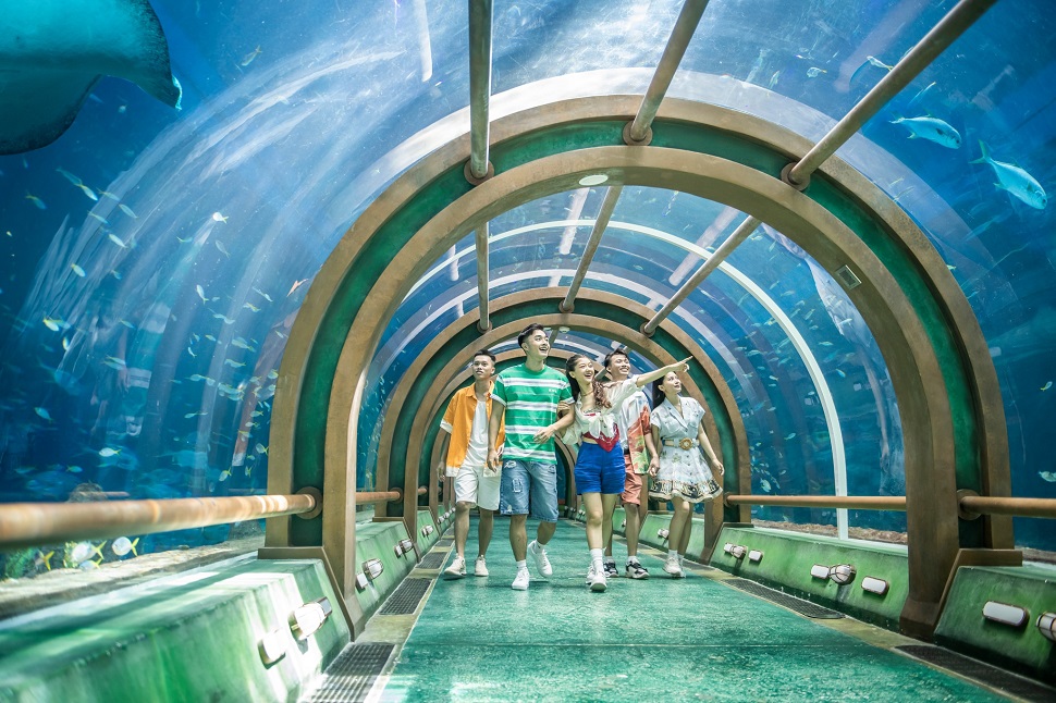 Thủy cung VinWonders Phú Quốc