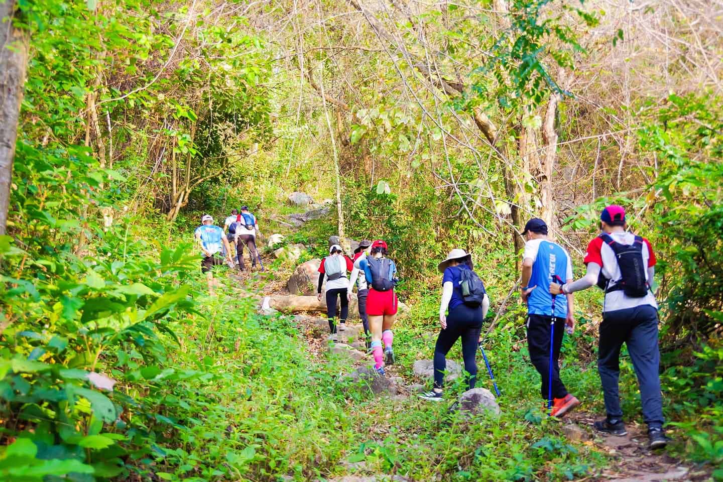 Trekking núi Cấm An Giang