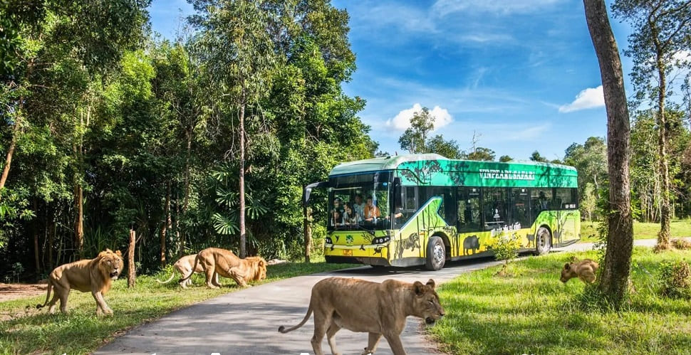 Vinpearl Safari Phú Quốc