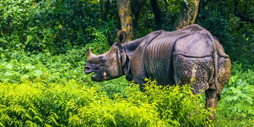 best places to visit in December outside the US Chitwan National Park is A UNESCO World Heritage Site in the Terai