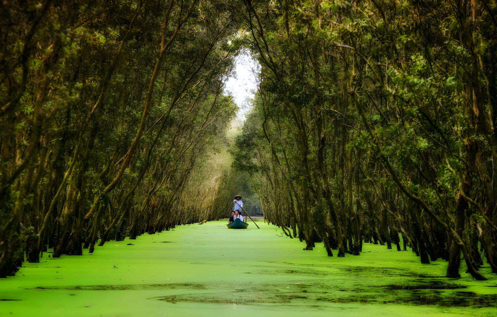 Enjoy a boat ride in Tra Su Cajuput Forest one of the great places to visit in Vietnam