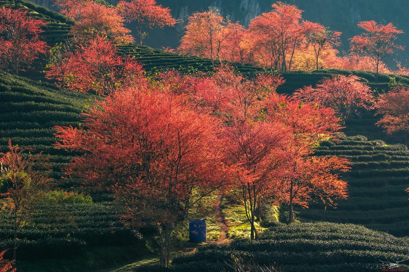 best countries to visit in December from Australia FAQs about the best countries to visit in December from Australia