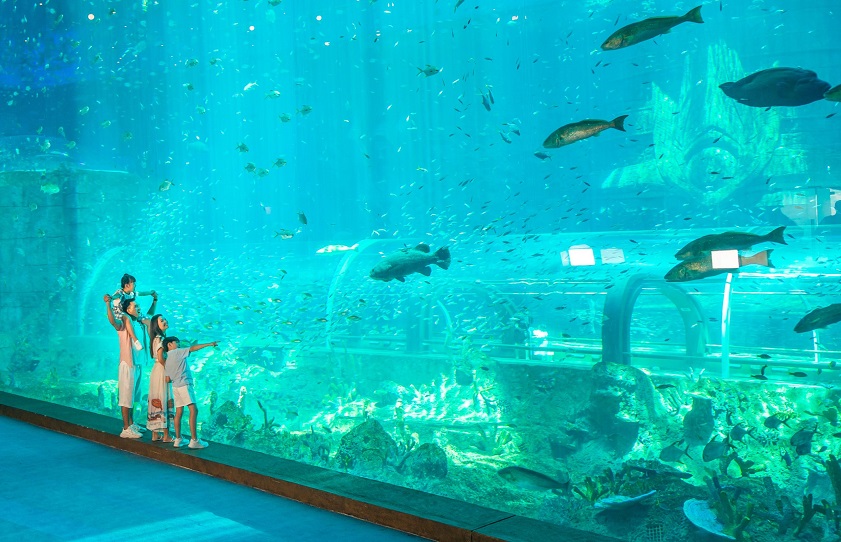 Best countries to visit from Hong Kong Families enjoy thrilling rides and vibrant parades at VinWonders Phu Quoc