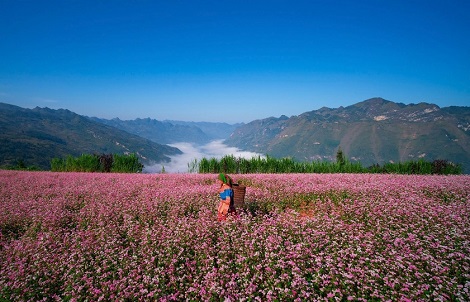 October in Vietnam: Weather, festivals, and travel advice