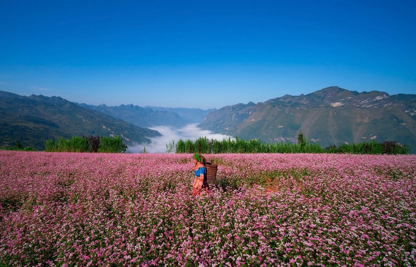 The weather in Vietnam in October varies across regions