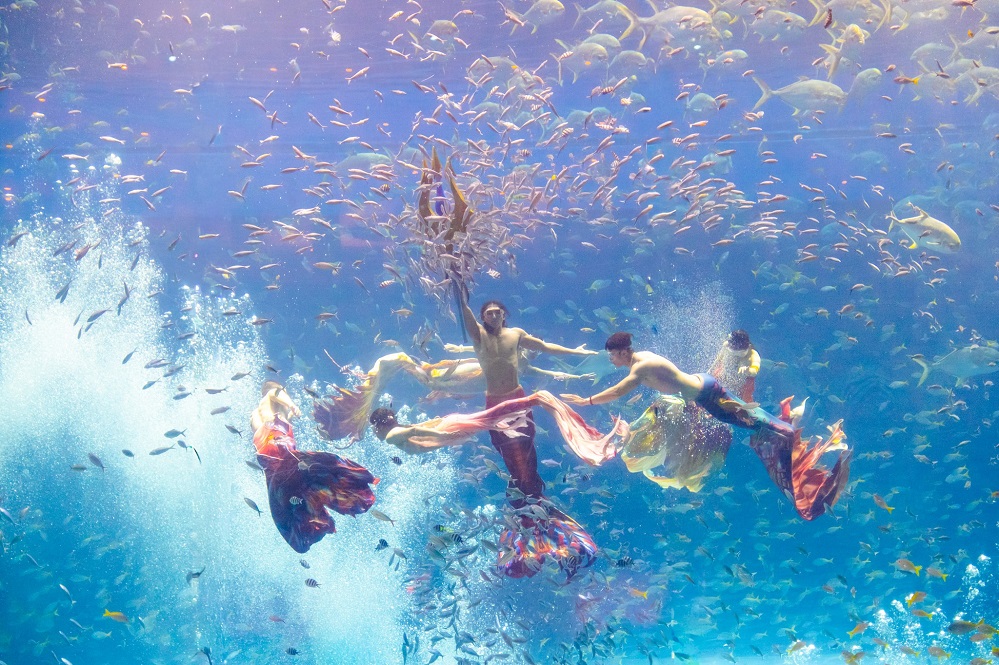 VinWonders Phu Quoc 6