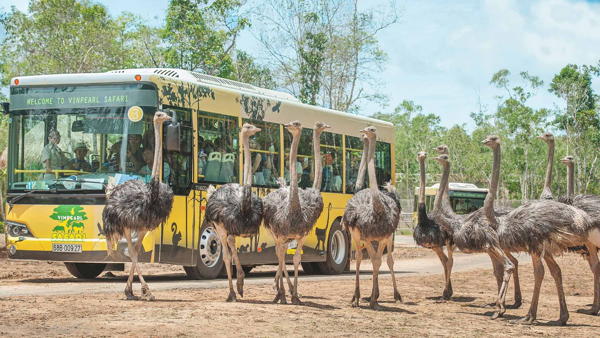 Vinpearl Safari Phu Quoc