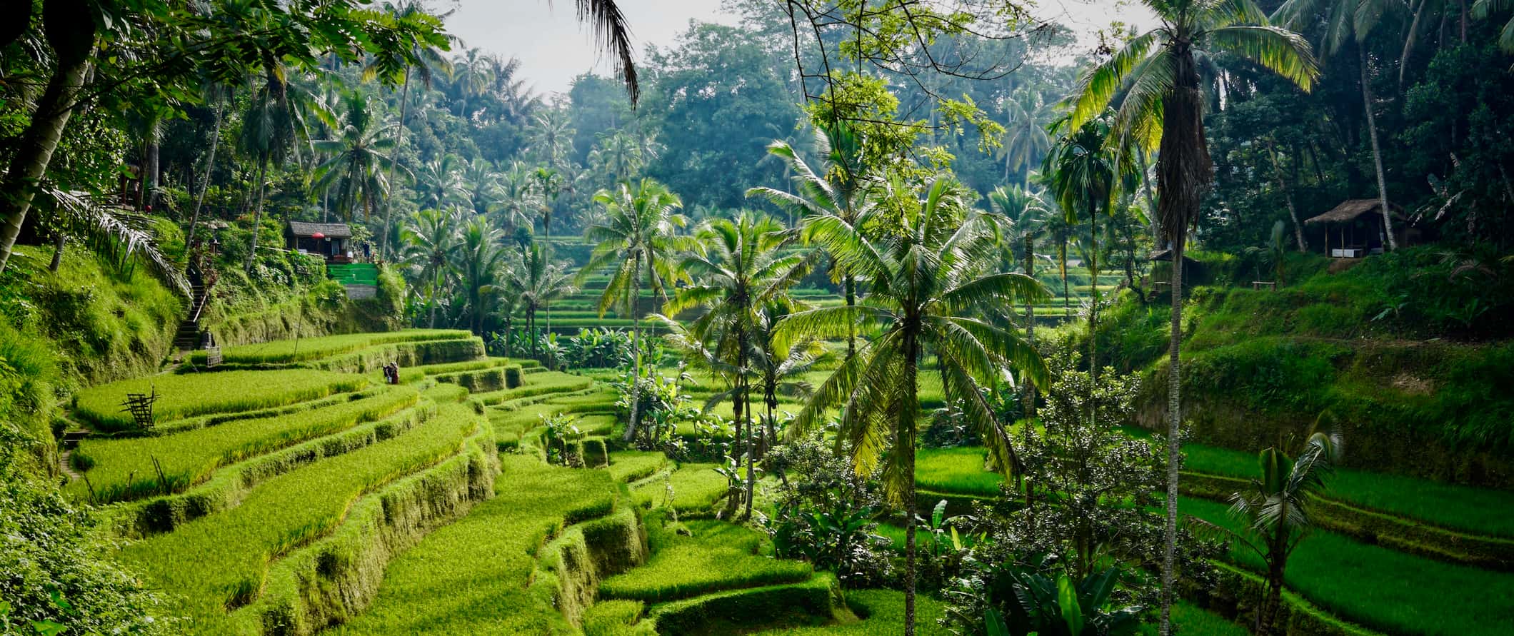 best countries to visit in April from Wondering where to travel in April from Australia Indonesia is a great pick