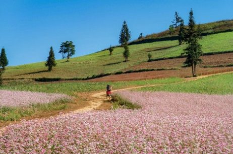 북부에서 남부까지 꼭 가 봐야 할 최고의 베트남 관광지 17곳