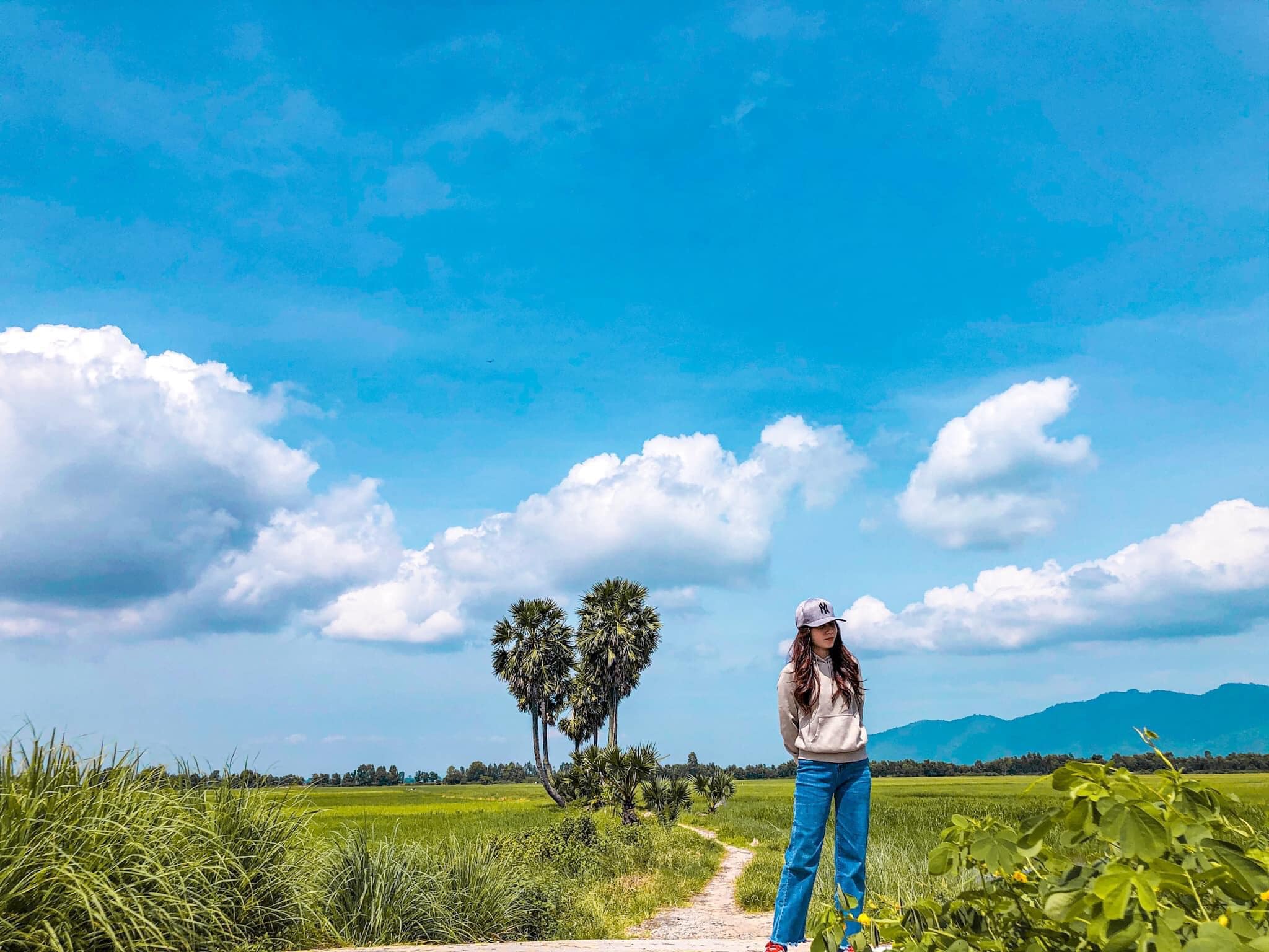 Check-in cây thốt nốt trái tim ở An Giang