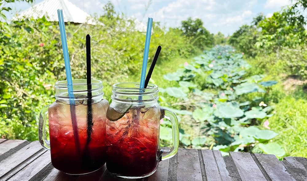 Du lịch cù lao Ông Chưởng An Giang