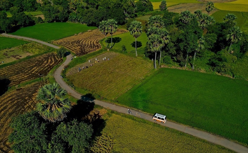 Đường đi cánh đồng Tà Pạ An Giang