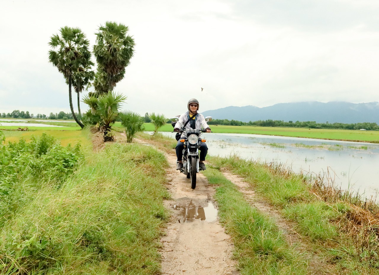 Lưu ý khi di chuyển đến cây thốt nốt An Giang