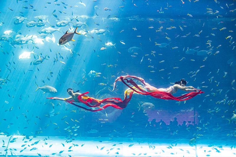 Nàng tiên cá VinWonders Phú Quốc