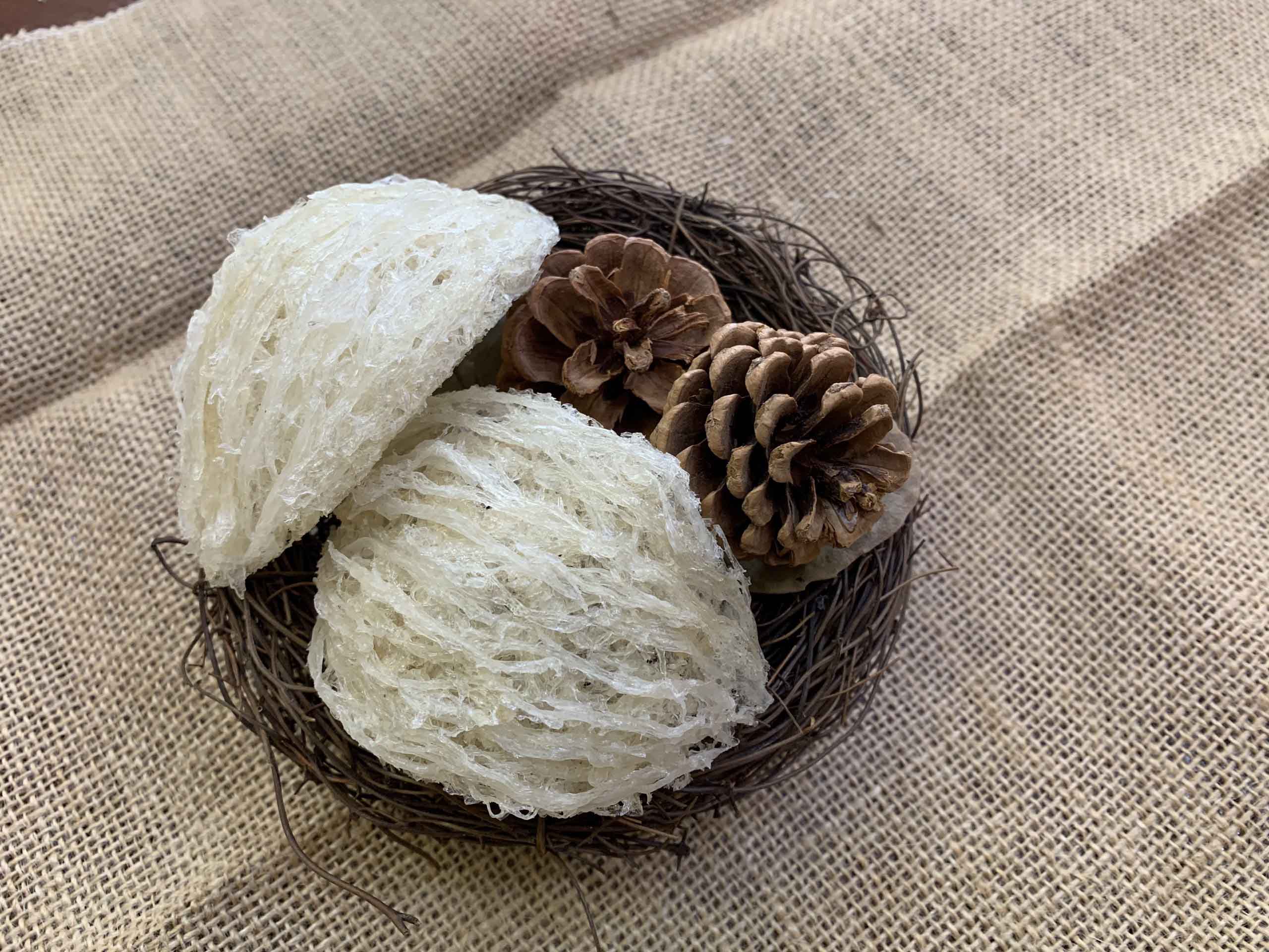 Phân biệt yến sào Phú Quốc thật giả