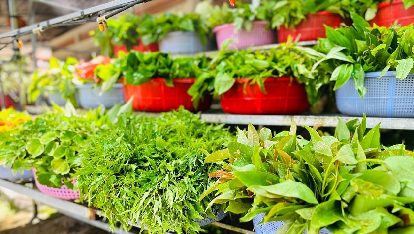 Rau rừng núi Cấm An Giang