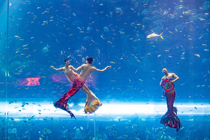 Show nàng tiên cá VinWonders Phú Quốc