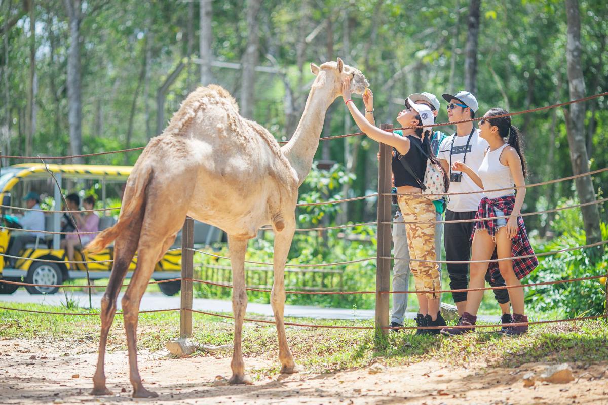 Tham quan Vinpearl Safari Phú Quốc