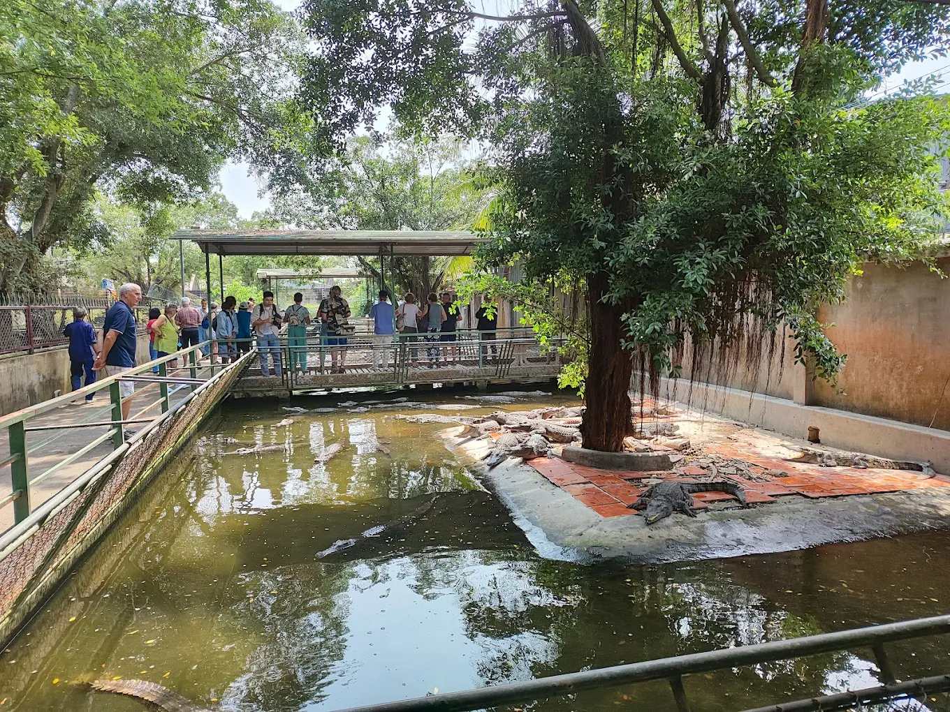 Trại cá sấu Long Xuyên