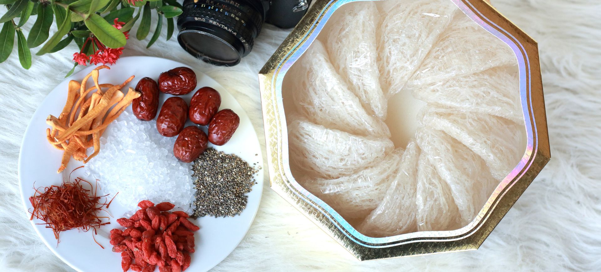 Yến sào Phú Quốc