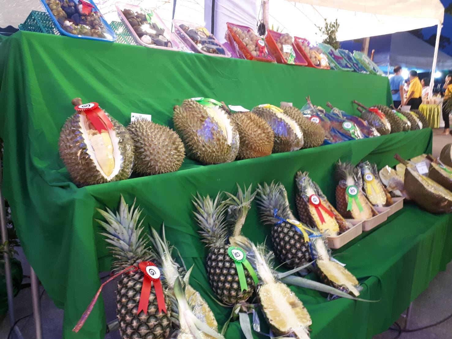 Southeast Asia in May Cultural festivals boast immersive experiences in Southeast Asia in May