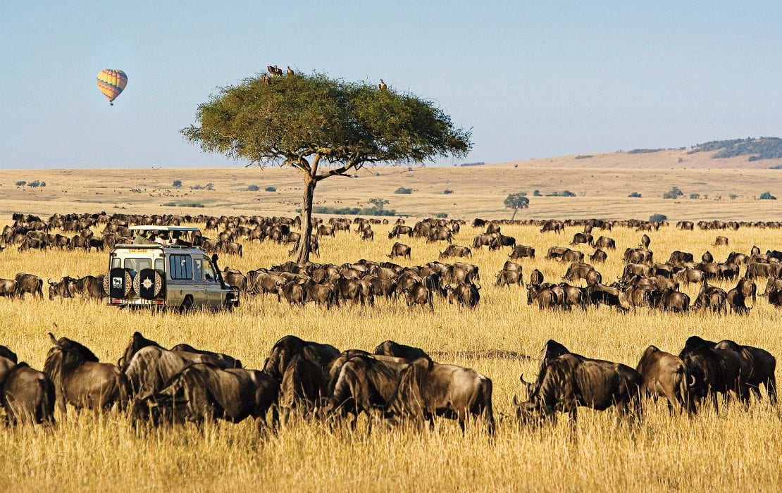 Where to go in December for sun Not sure where to go in December for sunshine Head to Maasai Mara