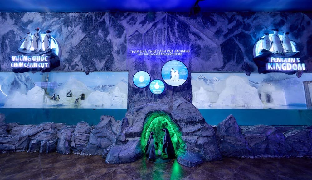 VKATC CCC (1) (1) (1) Thủy cung Hà Nội Vinpearl Aquarium Times City