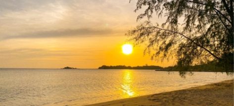 Bãi biển Vũng Bầu: Điểm đến không thể bỏ lỡ ở Phú Quốc