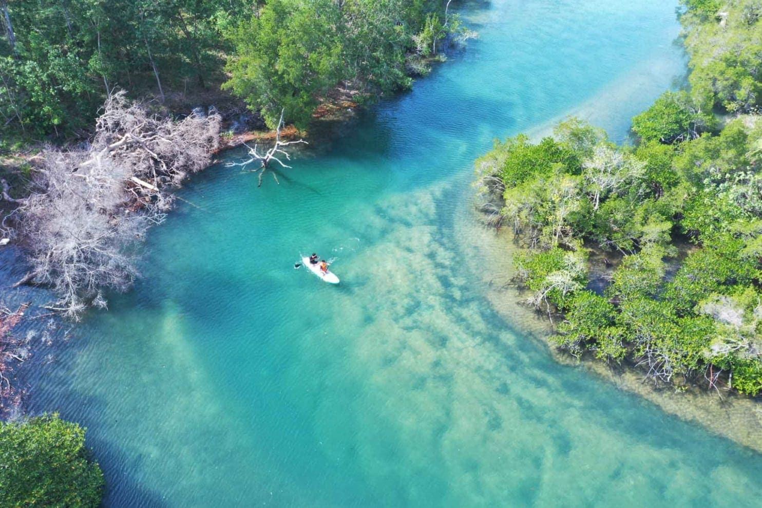 Mũi Hàm Rồng Chèo SUP sông Rạch Tràm Phú Quốc