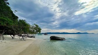 Mũi Hàm Rồng: “Vương quốc sao biển” hớp hồn mọi du khách