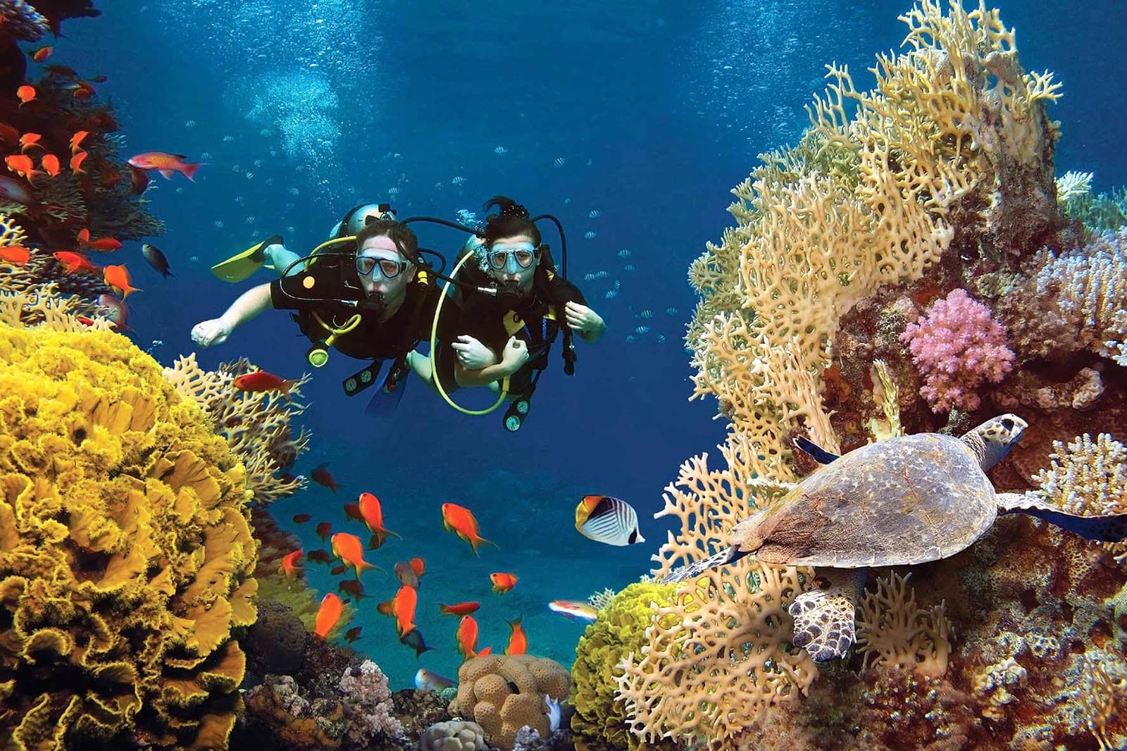 Danh lam thắng cảnh Phú Quốc Ngắm san hô Hòn Móng Tay Phú Quốc