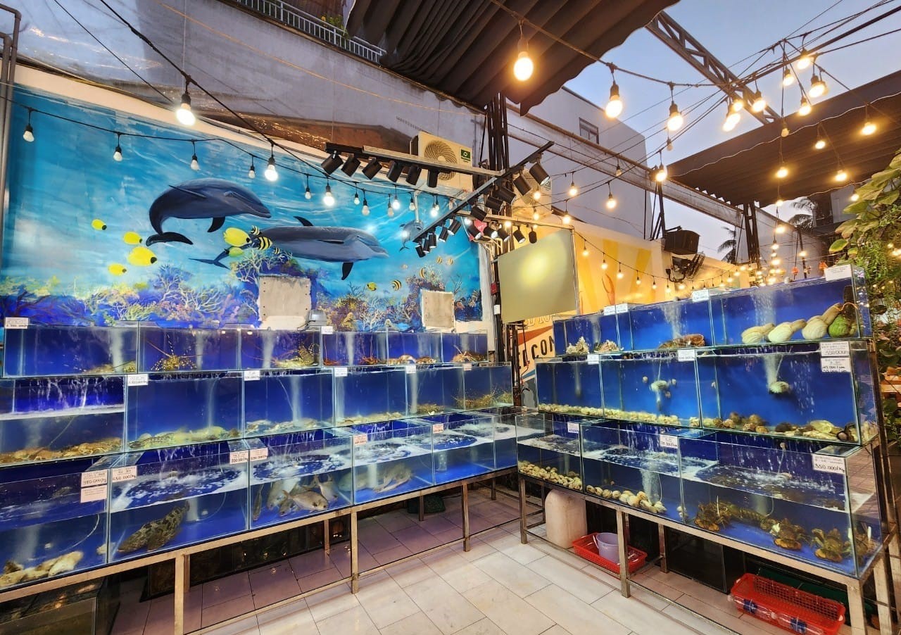 Nhà hàng hải sản Phú Quốc Nhà hàng hải sản Phú Quốc LTD 100