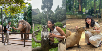 Tour Nhốt Người Thả Thú – Trải nghiệm “đảo ngược thế giới hoang dã” chỉ có tại Vinpearl Safari Phú Quốc