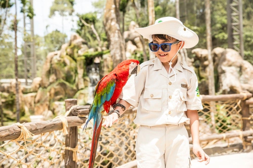 Nên đi Nam đảo hay Bắc đảo Phú Quốc Tương tác động vật ở Vinpearl Safari Phú Quốc