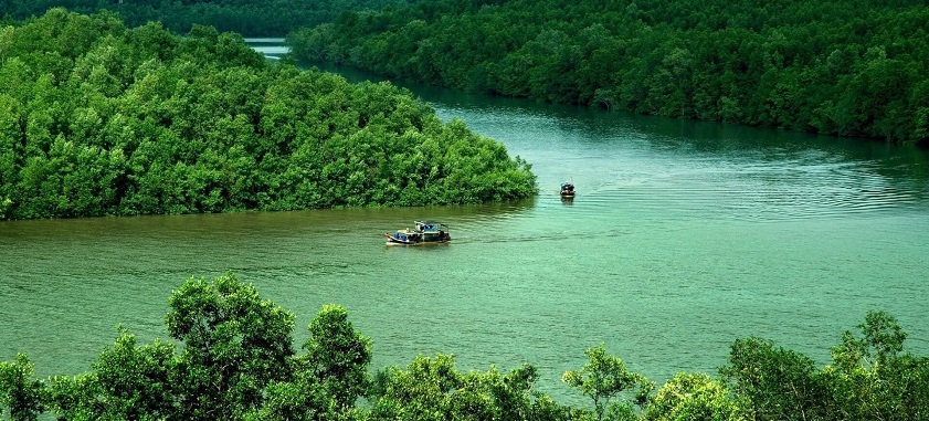 Vietnam itinerary for 6 days from India Explore the underrated Can Gio to round out your trip