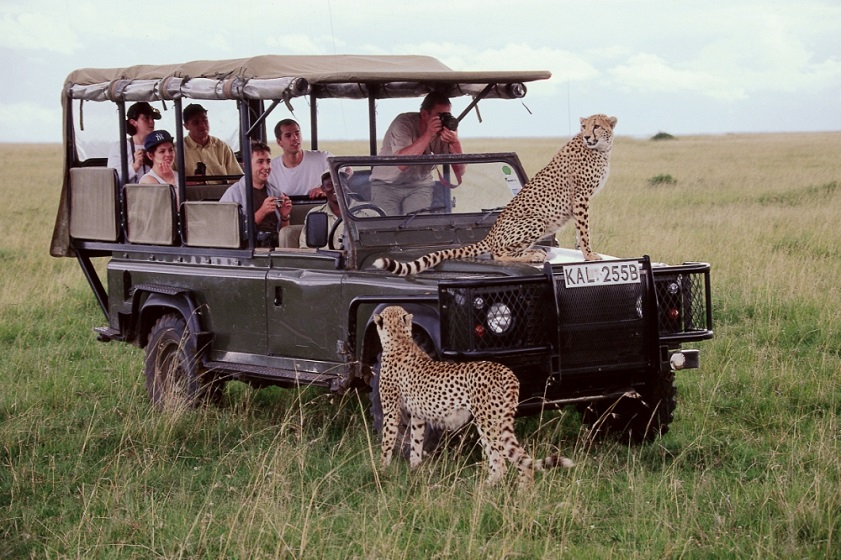 cheap countries to visit from the UK Wildlife lovers find Kenya among the best countries to visit from the UK