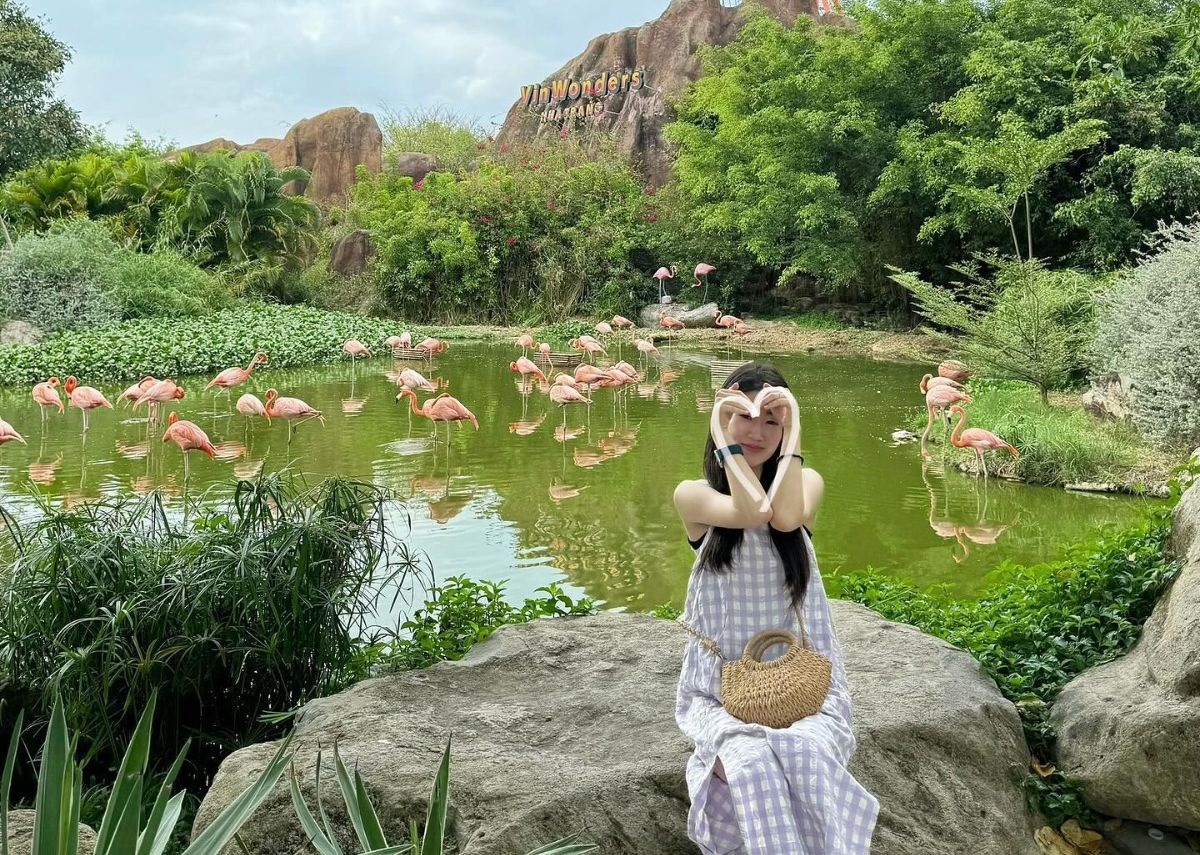 Vinpearl Nha Trang Vinpearl Nha Trang