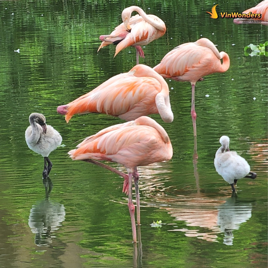 294758661_3224060754525194_90794499069415289_n