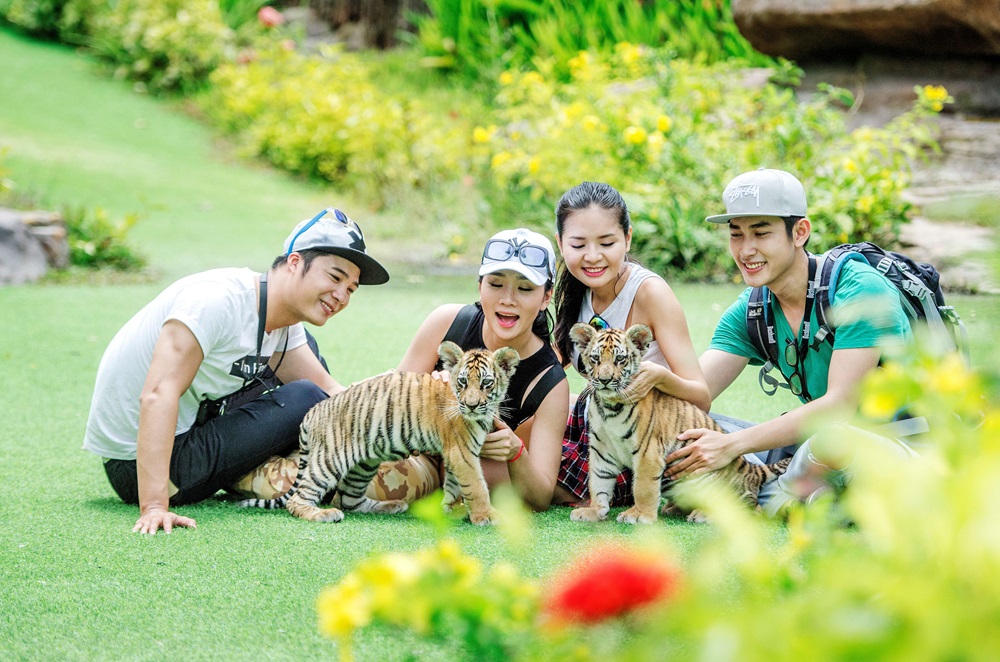 Khám phá vườn thú mở độc đáo tại Vinpearl Safari Phú Quốc