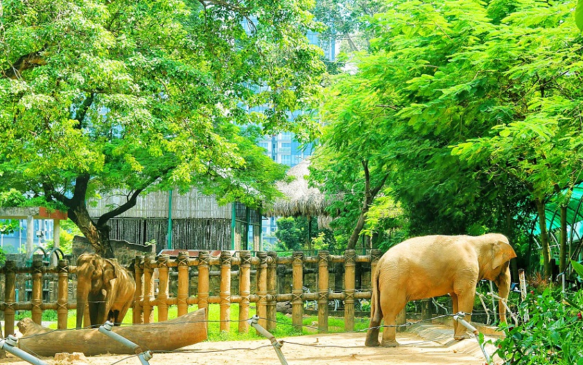 Saigon Zoo and Botanical Gardens