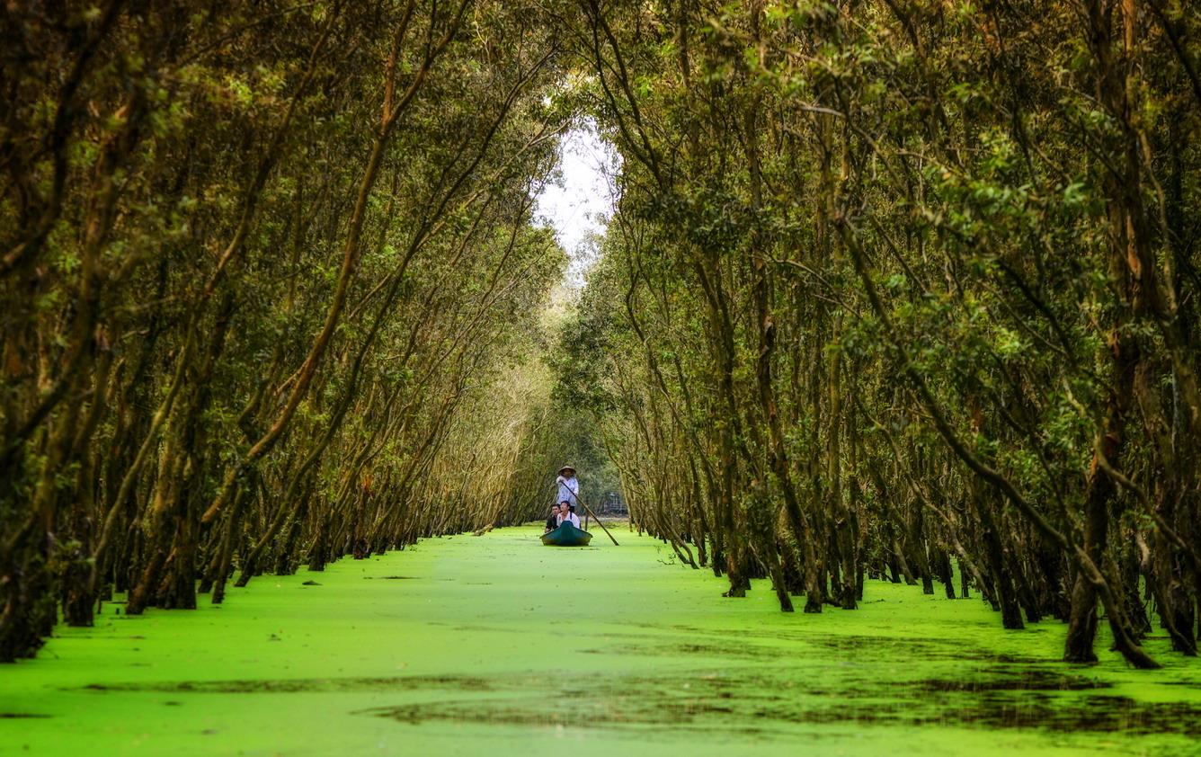 A Mekong Delta boat trip