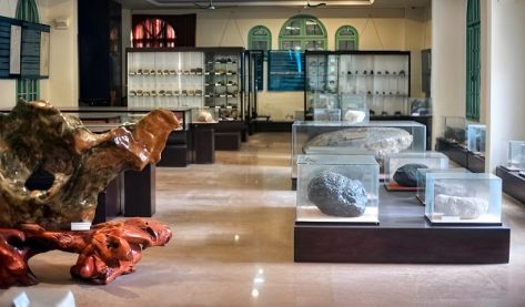 Ghé thăm Bảo tàng Địa chất Hà Nội – điểm du lịch 0 ĐỒNG thú vị