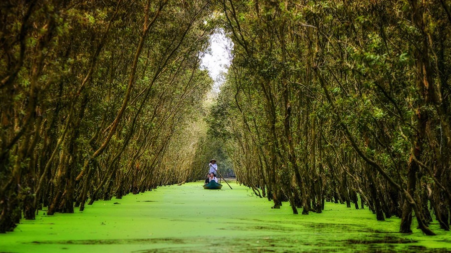 Tra Su Bird Sanctuary