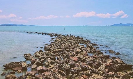 Can Gio Beach: An ideal spot for coastal getaways in Saigon