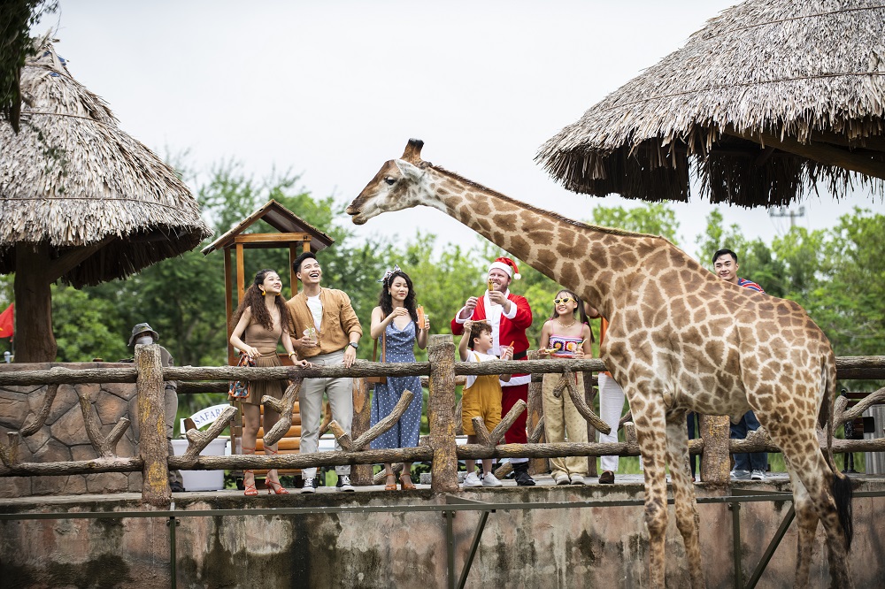 Christmas games VinWonders - the most modern entertainment complexes in Vietnam