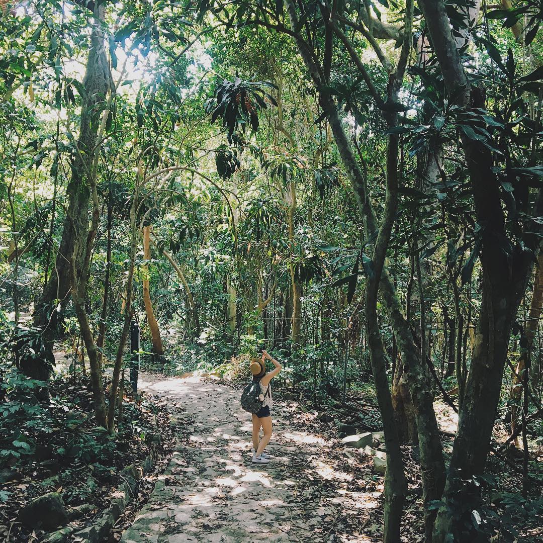 Con Dao National Park hiking