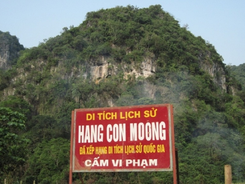 Con Moong Cave in Thanh Hoa