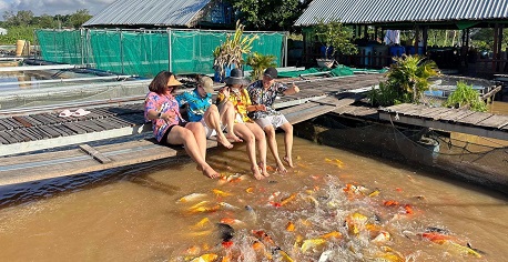 Con Son in Can Tho: A must-visit ecotourism destination